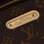 Louis Vuitton Monogram Eva Clutch M95567 Brown